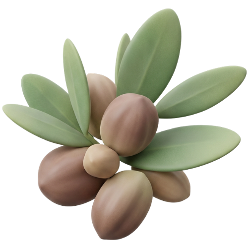Jojoba