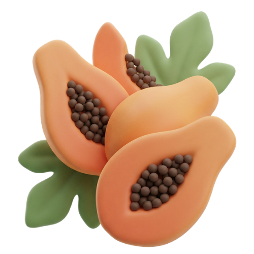 Papaya Seed Oil