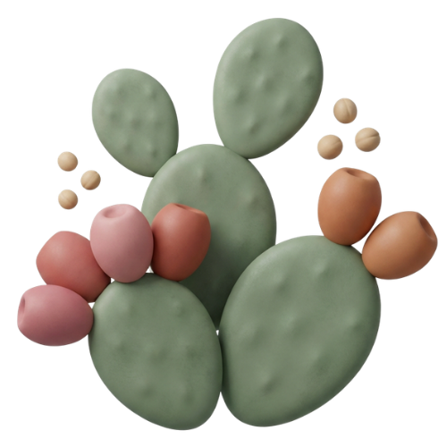 Prickly Pear Oil